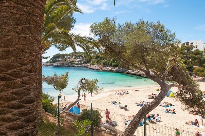 Appartement Playa Dor 14